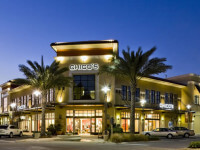 link to Top Florida Shops Outside Your Door page