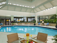link to Salt and Sand-Free Swimming Pools page