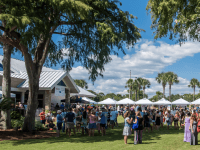 link to The Best Shopping Spots in Sandestin page