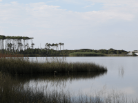 link to Explore Coastal Dune Lakes page