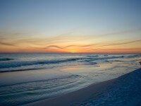 link to Wildlife on the Gulf Coast page