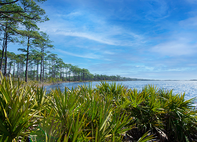 Coastal Dune Lakes 