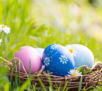 Easter eggs in a basket